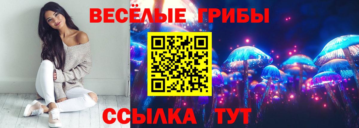 Псилоцибиновые грибы MAGIC MUSHROOMS  Вход с VPN  Добрянка 